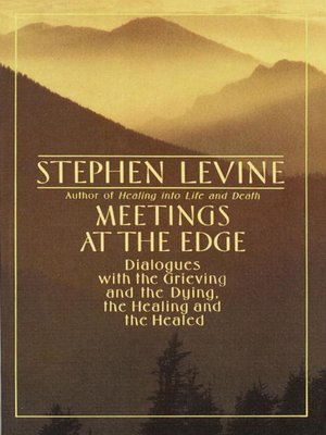 cover image of Meetings at the Edge